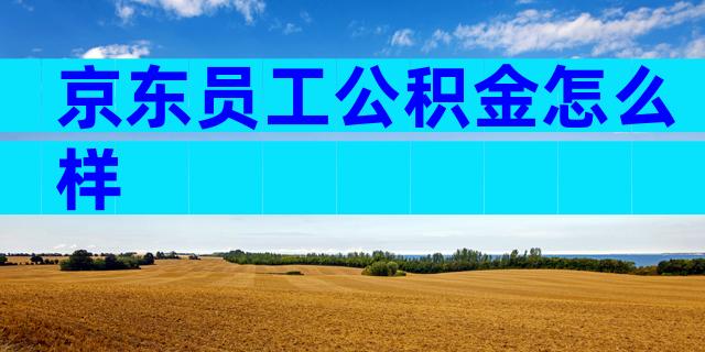 京东员工公积金怎么样