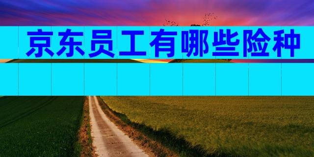 京东员工有哪些险种