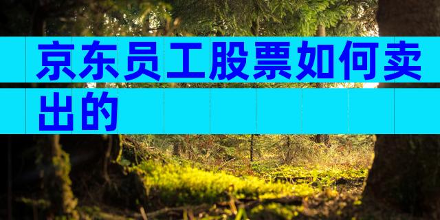 京东员工股票如何卖出的