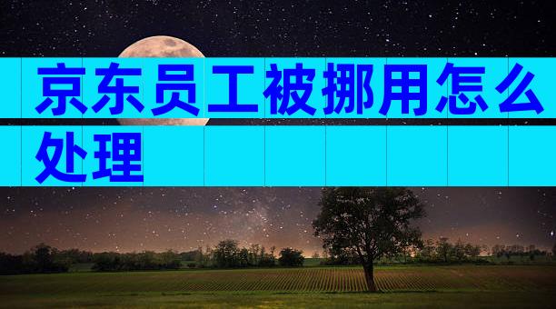 京东员工被挪用怎么处理