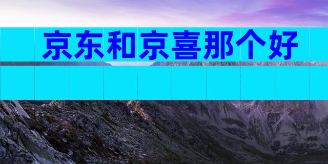 京东和京喜那个好
