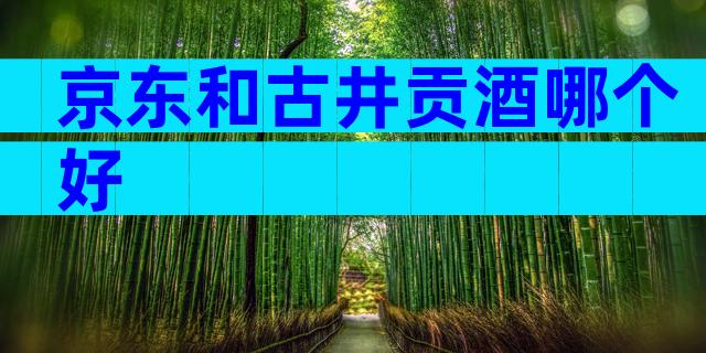京东和古井贡酒哪个好