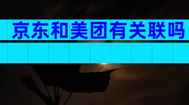 京东和美团有关联吗
