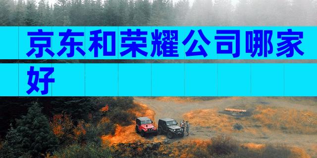 京东和荣耀公司哪家好