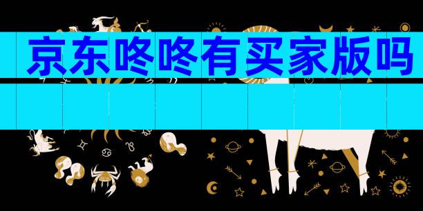 京东咚咚有买家版吗