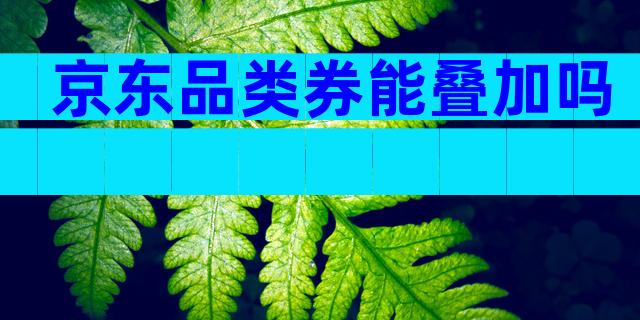 京东品类券能叠加吗