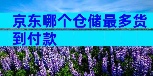 京东哪个仓储最多货到付款