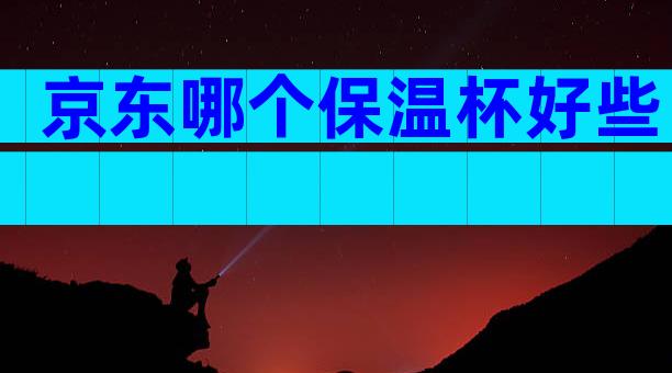 京东哪个保温杯好些
