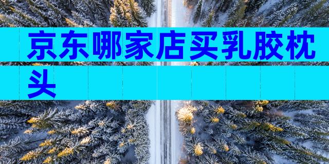 京东哪家店买乳胶枕头