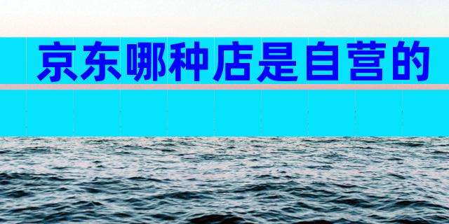 京东哪种店是自营的