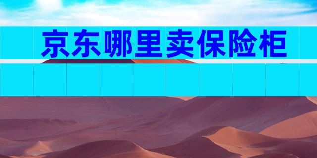 京东哪里卖保险柜