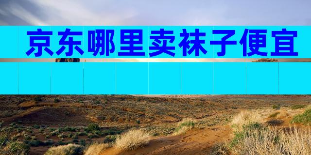 京东哪里卖袜子便宜
