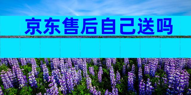 京东售后自己送吗
