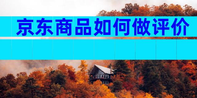 京东商品如何做评价