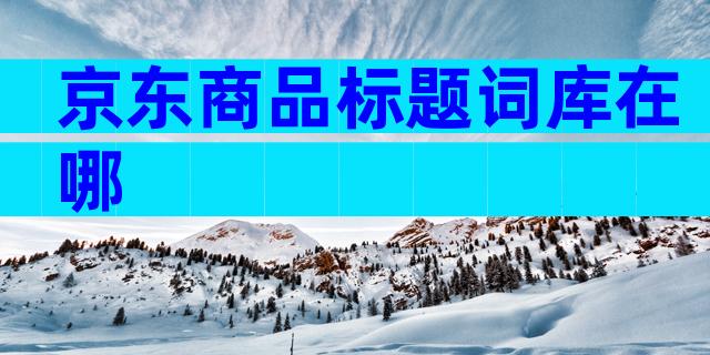 京东商品标题词库在哪