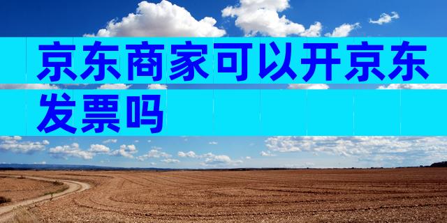 京东商家可以开京东发票吗