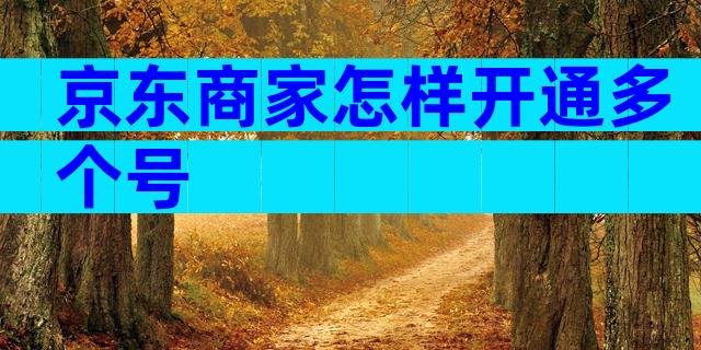京东商家怎样开通多个号