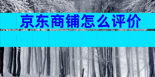 京东商铺怎么评价