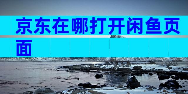 京东在哪打开闲鱼页面