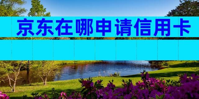 京东在哪申请信用卡