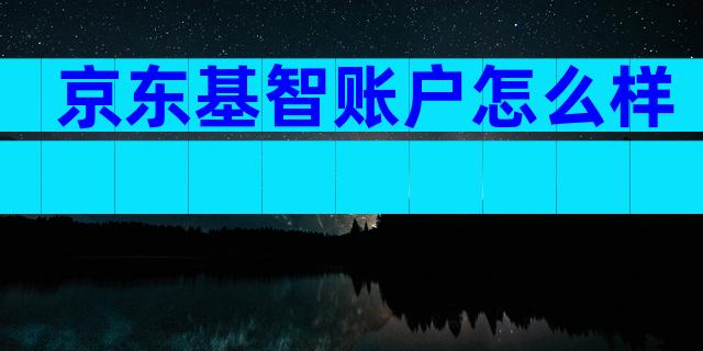 京东基智账户怎么样
