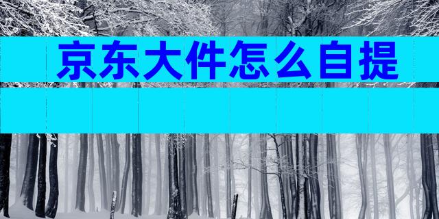 京东大件怎么自提