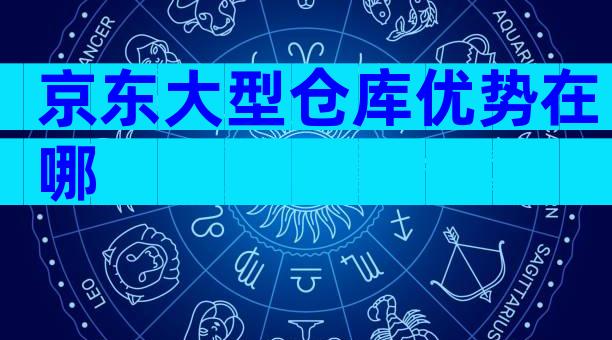 京东大型仓库优势在哪