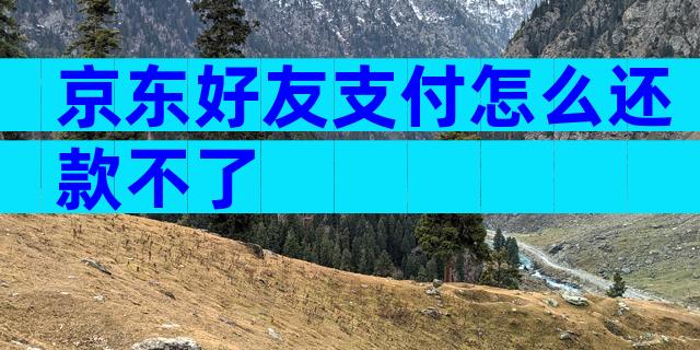 京东好友支付怎么还款不了