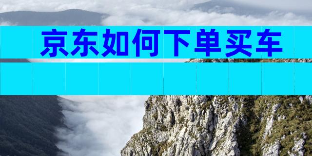 京东如何下单买车