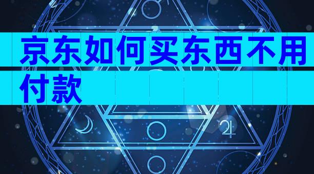 京东如何买东西不用付款
