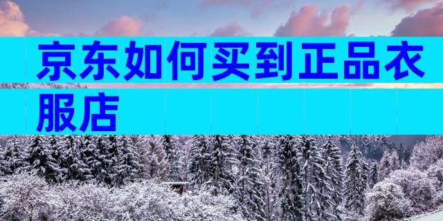 京东如何买到正品衣服店
