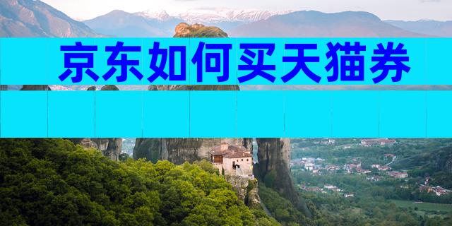 京东如何买天猫券