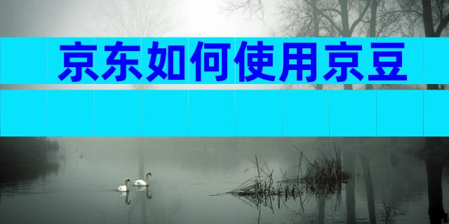 京东如何使用京豆