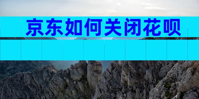 京东如何关闭花呗