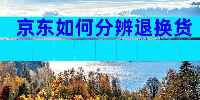 京东如何分辨退换货