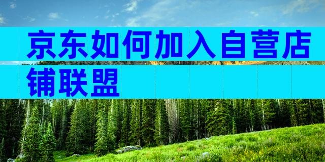 京东如何加入自营店铺联盟