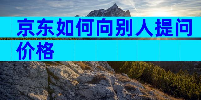 京东如何向别人提问价格