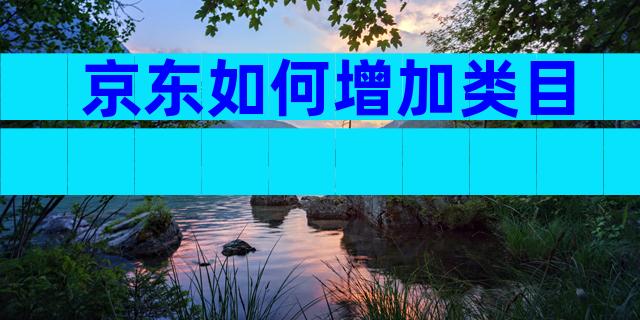 京东如何增加类目