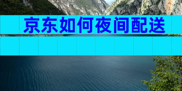 京东如何夜间配送