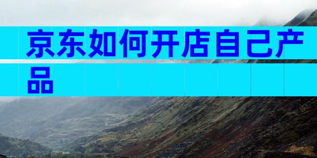京东如何开店自己产品