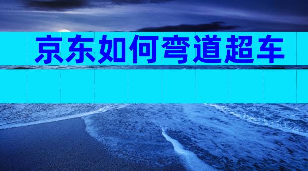 京东如何弯道超车