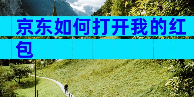 京东如何打开我的红包