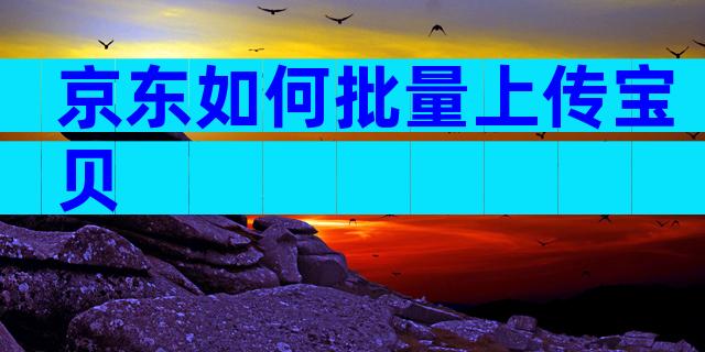 京东如何批量上传宝贝