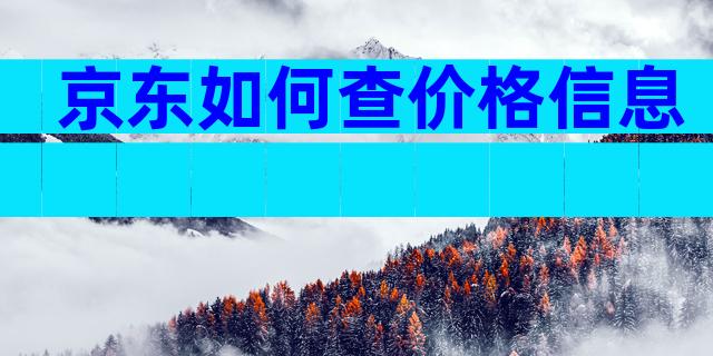 京东如何查价格信息