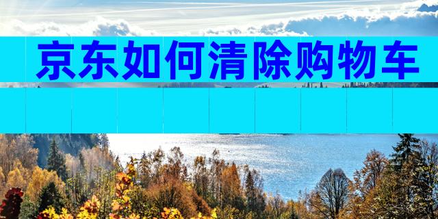 京东如何清除购物车
