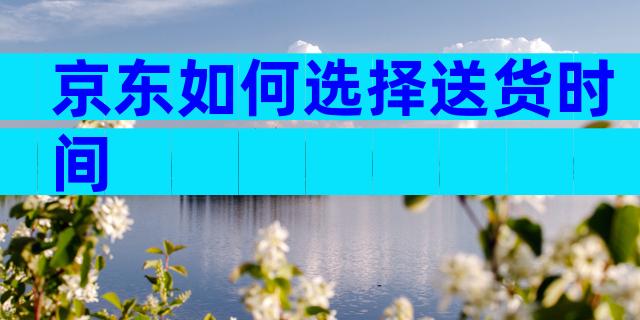 京东如何选择送货时间