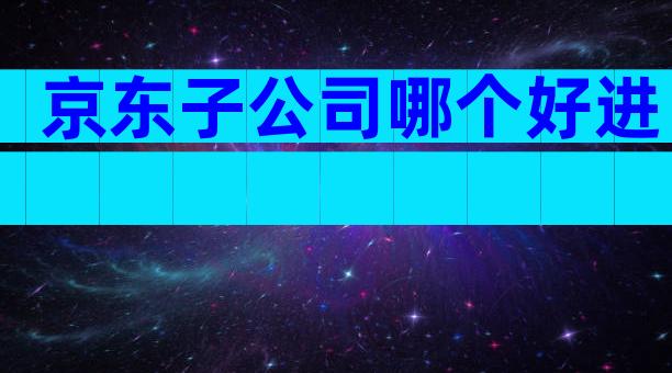 京东子公司哪个好进
