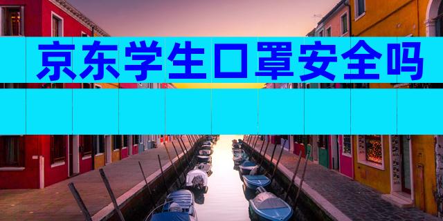 京东学生口罩安全吗