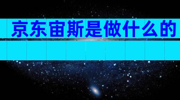 京东宙斯是做什么的
