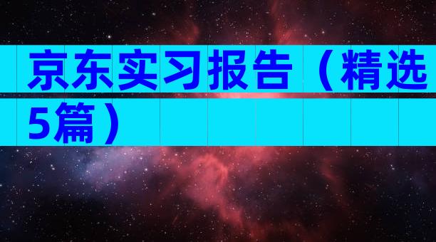 京东实习报告（精选5篇）